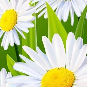 Meet your Posher, Nobz